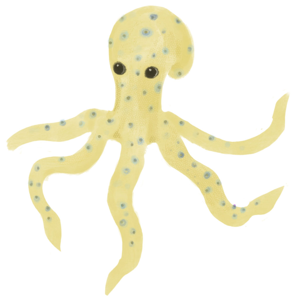 a cephalopod mollusc with eight sucker-bearing arms, a soft body, strong beaklike jaws, and no internal shell.
